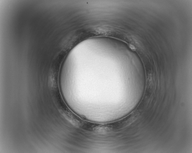 X0000068730408200605121523