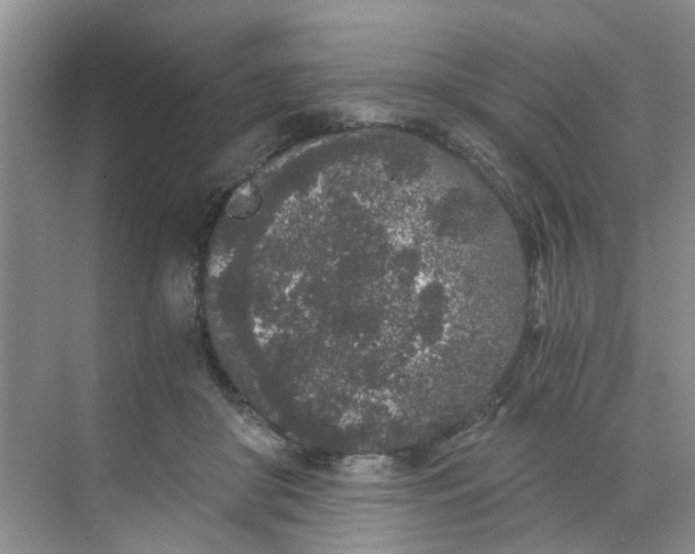 X0000068730410200605121523