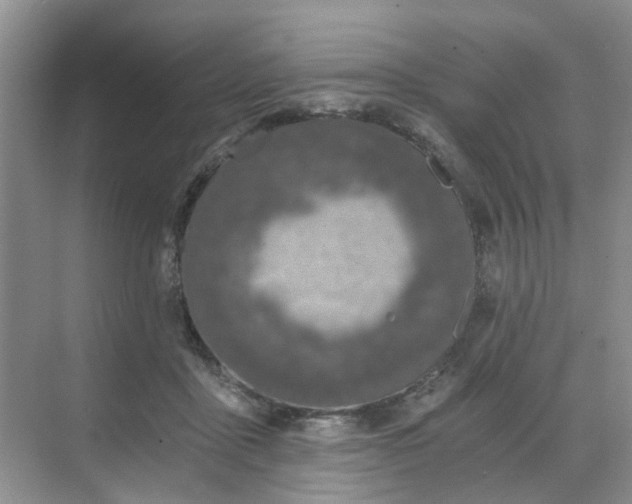 X0000068730411200605121523