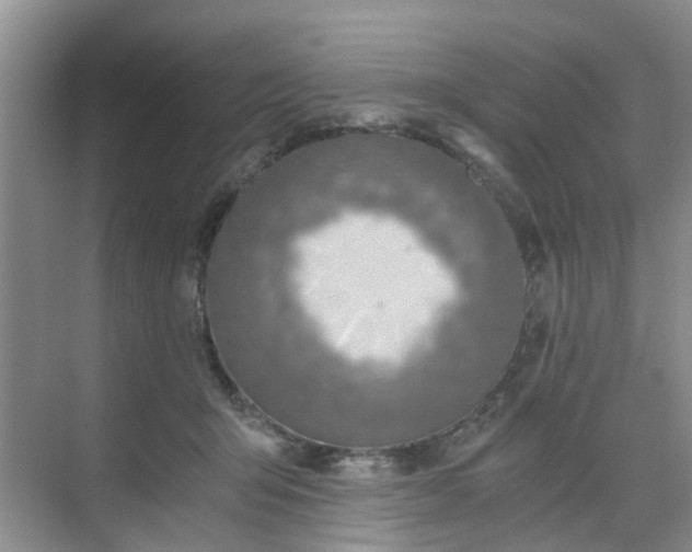 X0000068730415200605121523