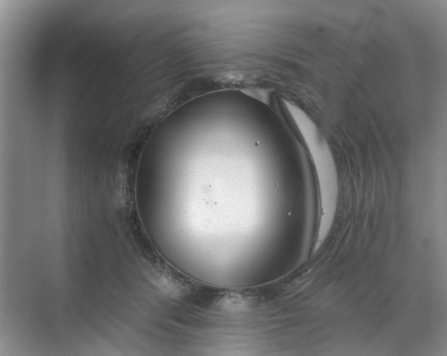 X0000068730416200605121523