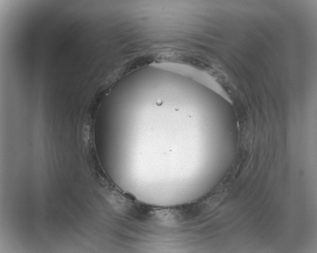 X0000068730417200605121523