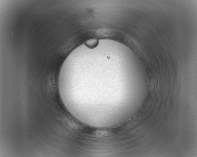 X0000068730418200605121523