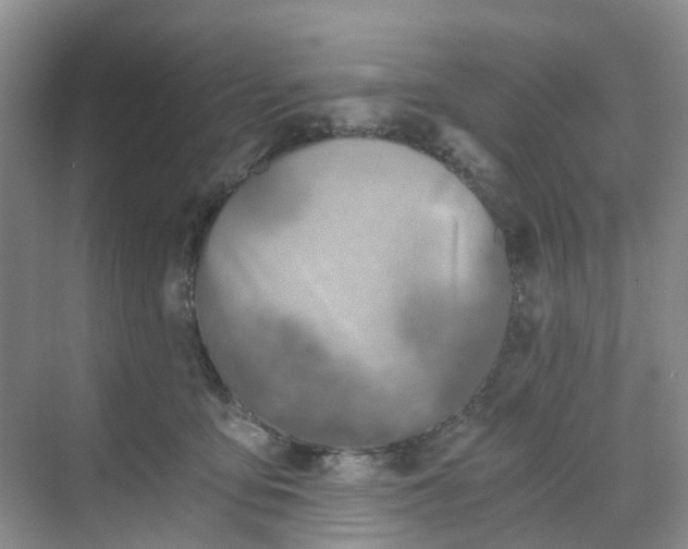 X0000068730419200605121523