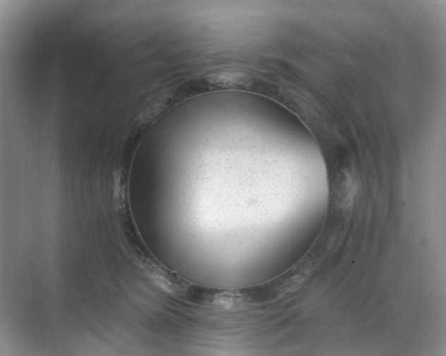 X0000068730420200605121523