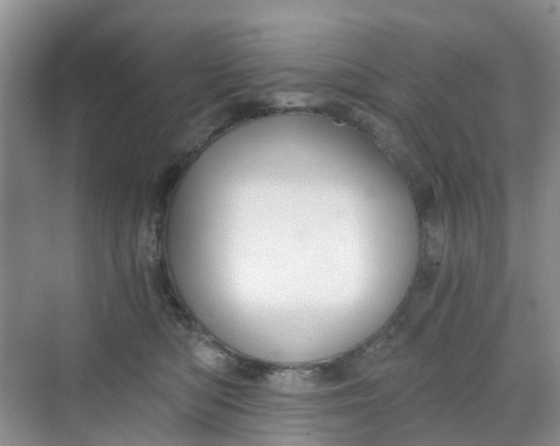 X0000068730422200605121523