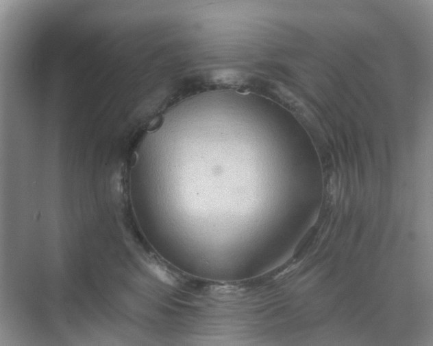 X0000068730424200605121523