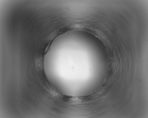 X0000068730425200605121523