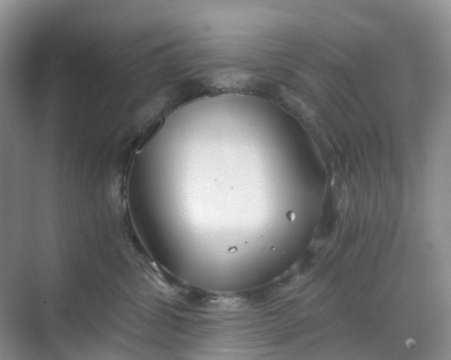 X0000068730428200605121523