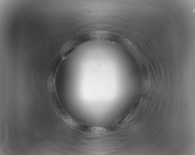 X0000068730429200605121523