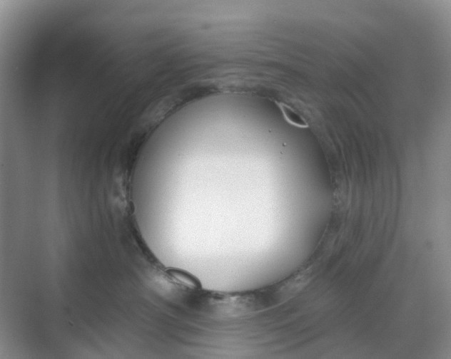 X0000068730430200605121523