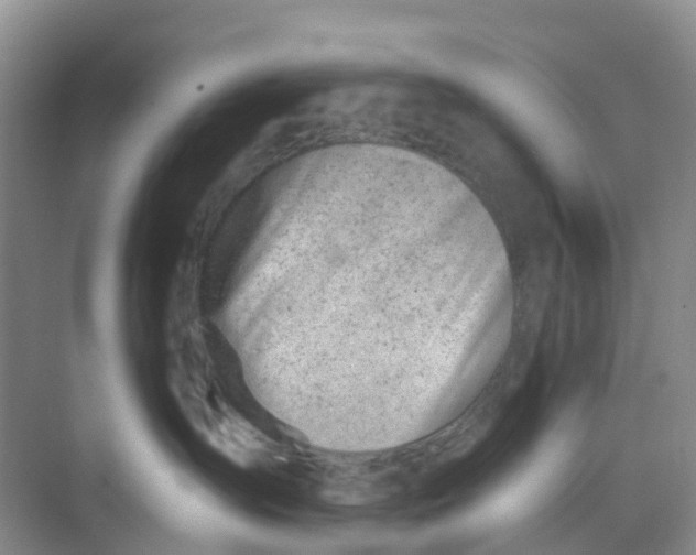 X0000068730431200605121523