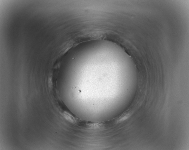 X0000068730432200605121523