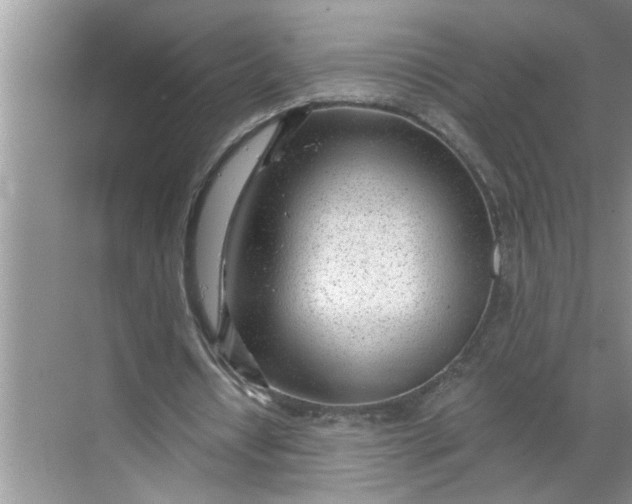 X0000068730434200605121522