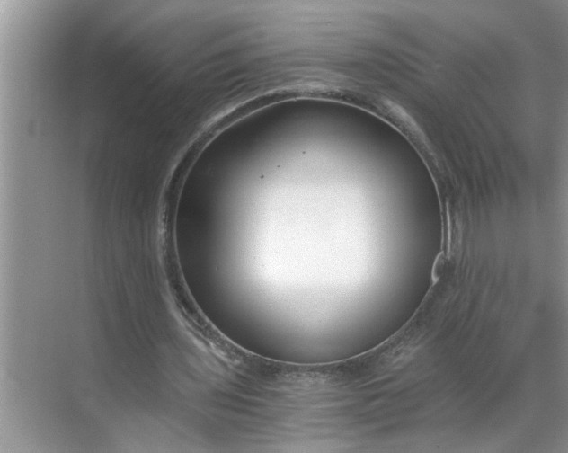 X0000068730435200605121522