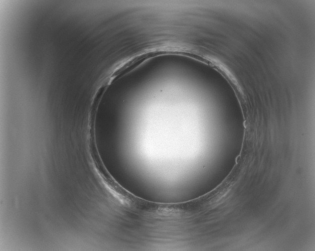 X0000068730437200605121522