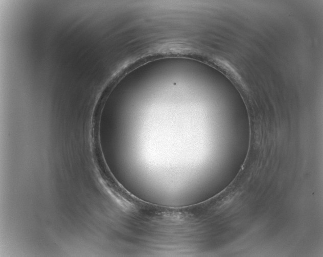 X0000068730439200605121522