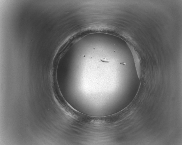 X0000068730440200605121522