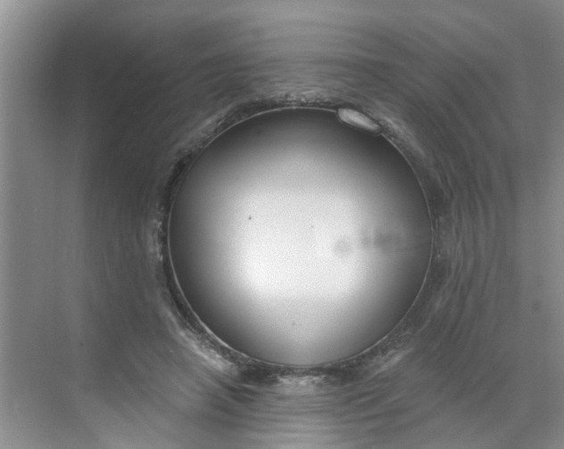 X0000068730450200605121522