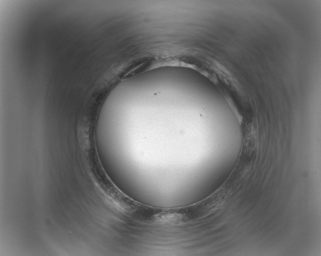 X0000068730452200605121522