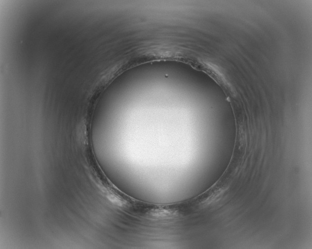 X0000068730453200605121522