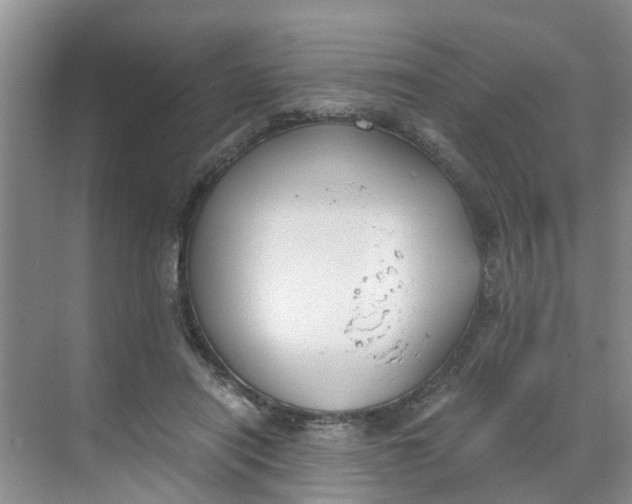 X0000068730454200605121522