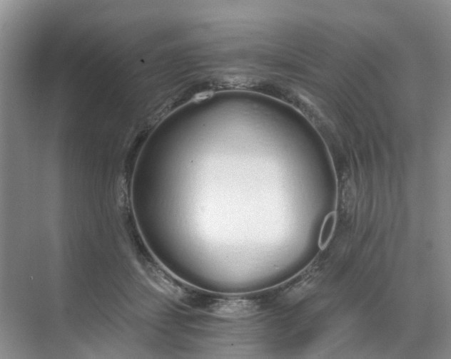 X0000068730459200605121522