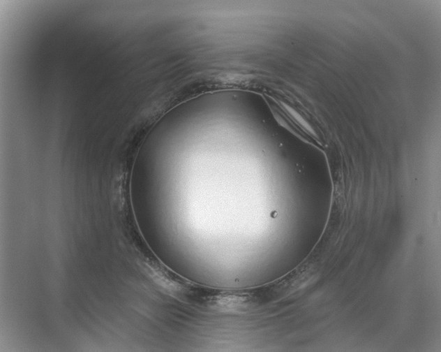 X0000068730462200605121522