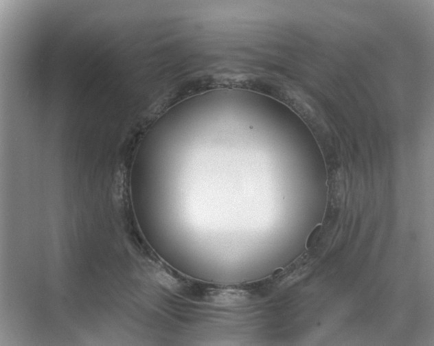 X0000068730463200605121522