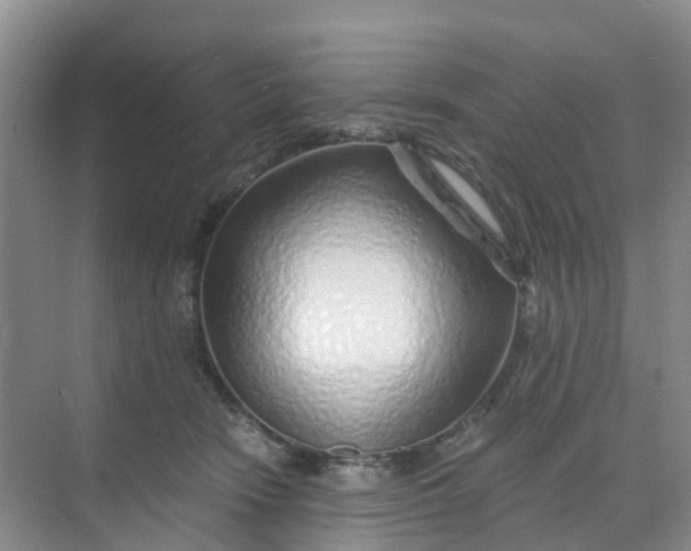 X0000068730466200605121522