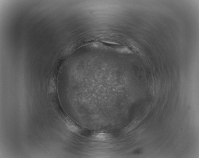 X0000068730467200605121522