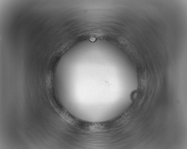 X0000068730468200605121522