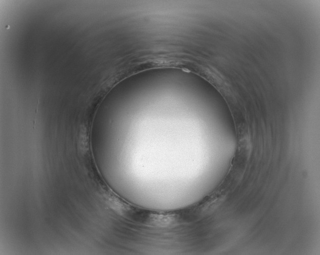 X0000068730469200605121522