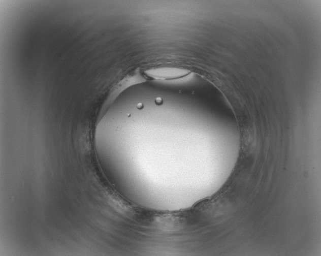 X0000068730470200605121522