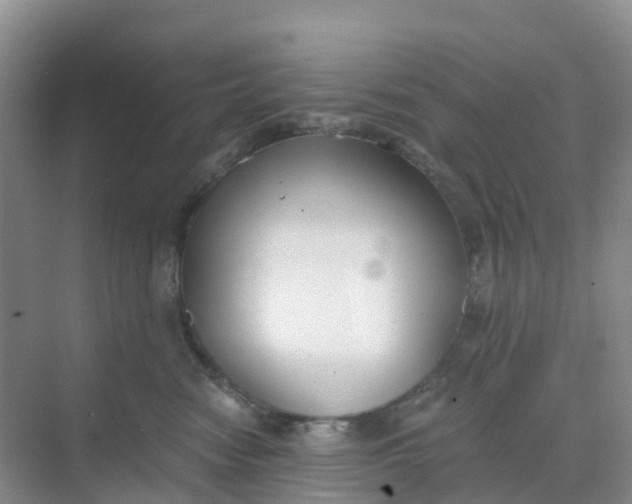 X0000068730474200605121523