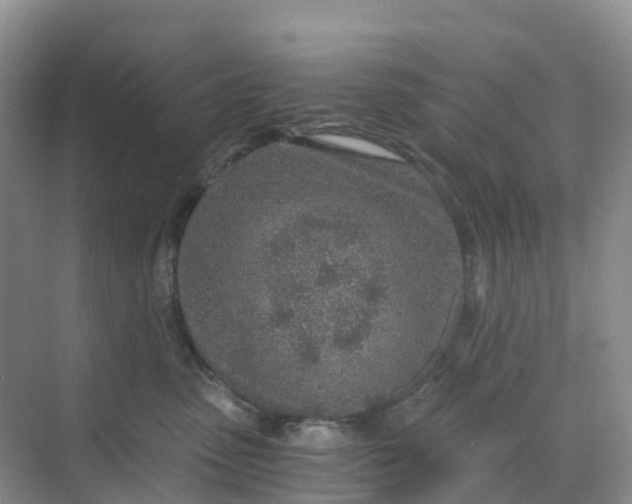 X0000068730475200605121523