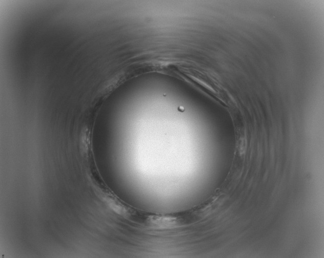 X0000068730476200605121523