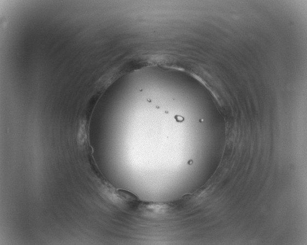 X0000068730478200605121523