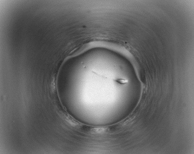 X0000068730479200605121523