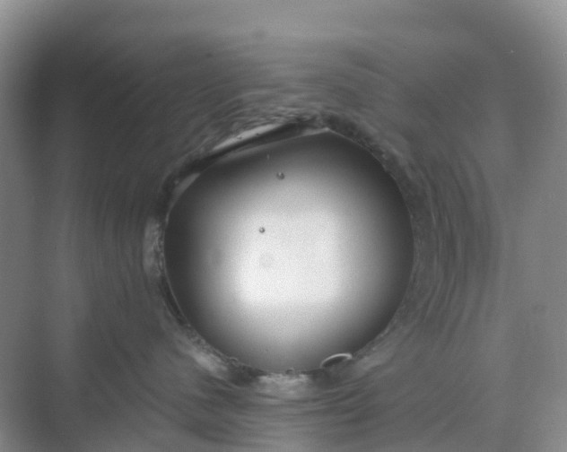 X0000068730480200605121523