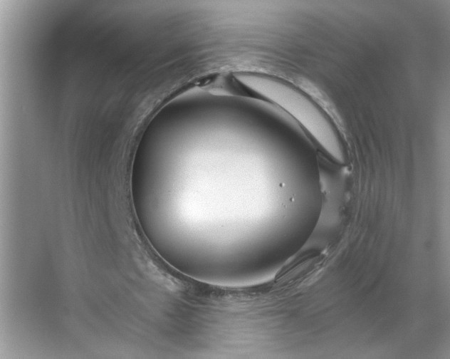 X0000068730481200605121522