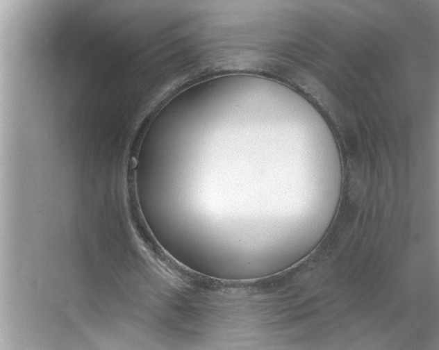 X0000068730482200605121522