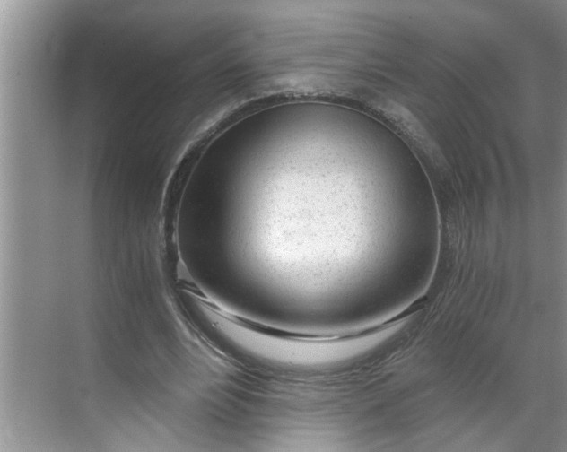 X0000068730488200605121522