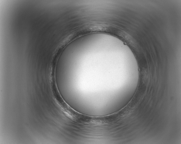 X0000068730490200605121522