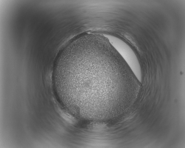 X0000068730491200605121522