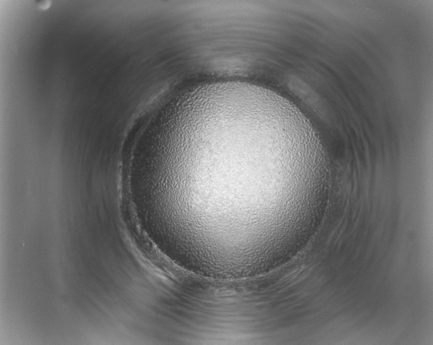 X0000068730494200605121522