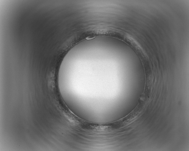 X0000068730497200605121522