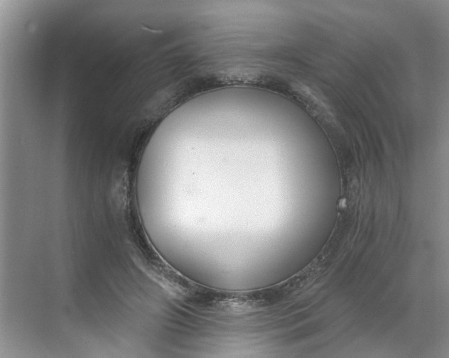 X0000068730498200605121522