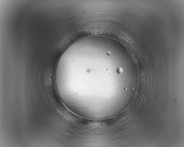 X0000068730499200605121522