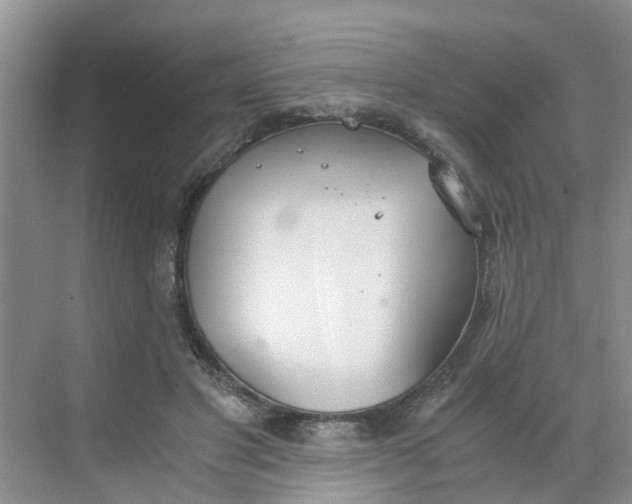 X0000068730501200605121521